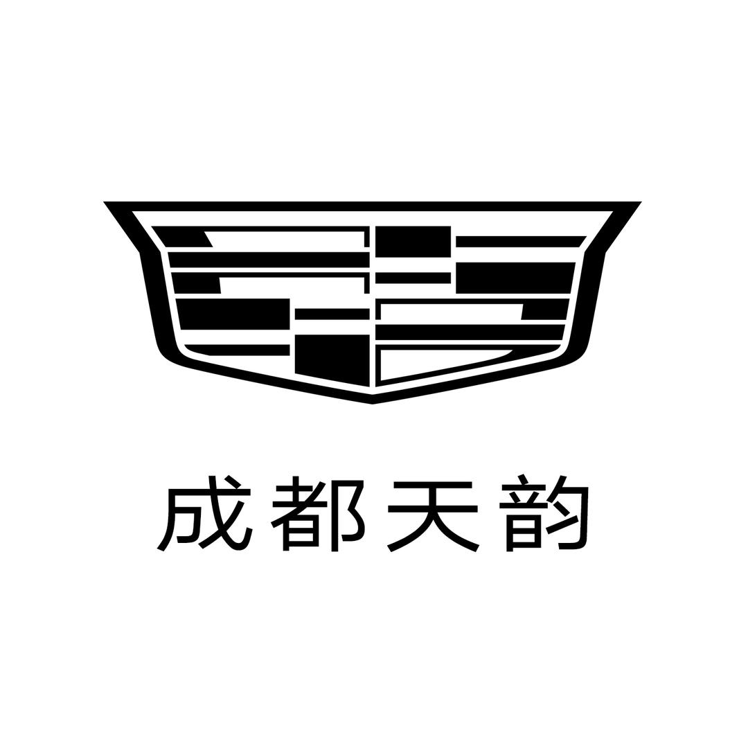 凯迪拉克-成都天韵（锦江大道店）