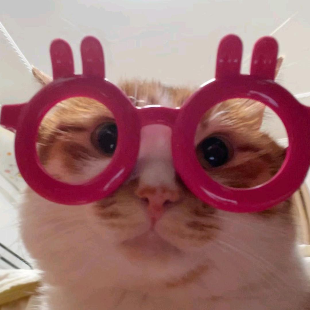 你瞅啥（赵努力版）