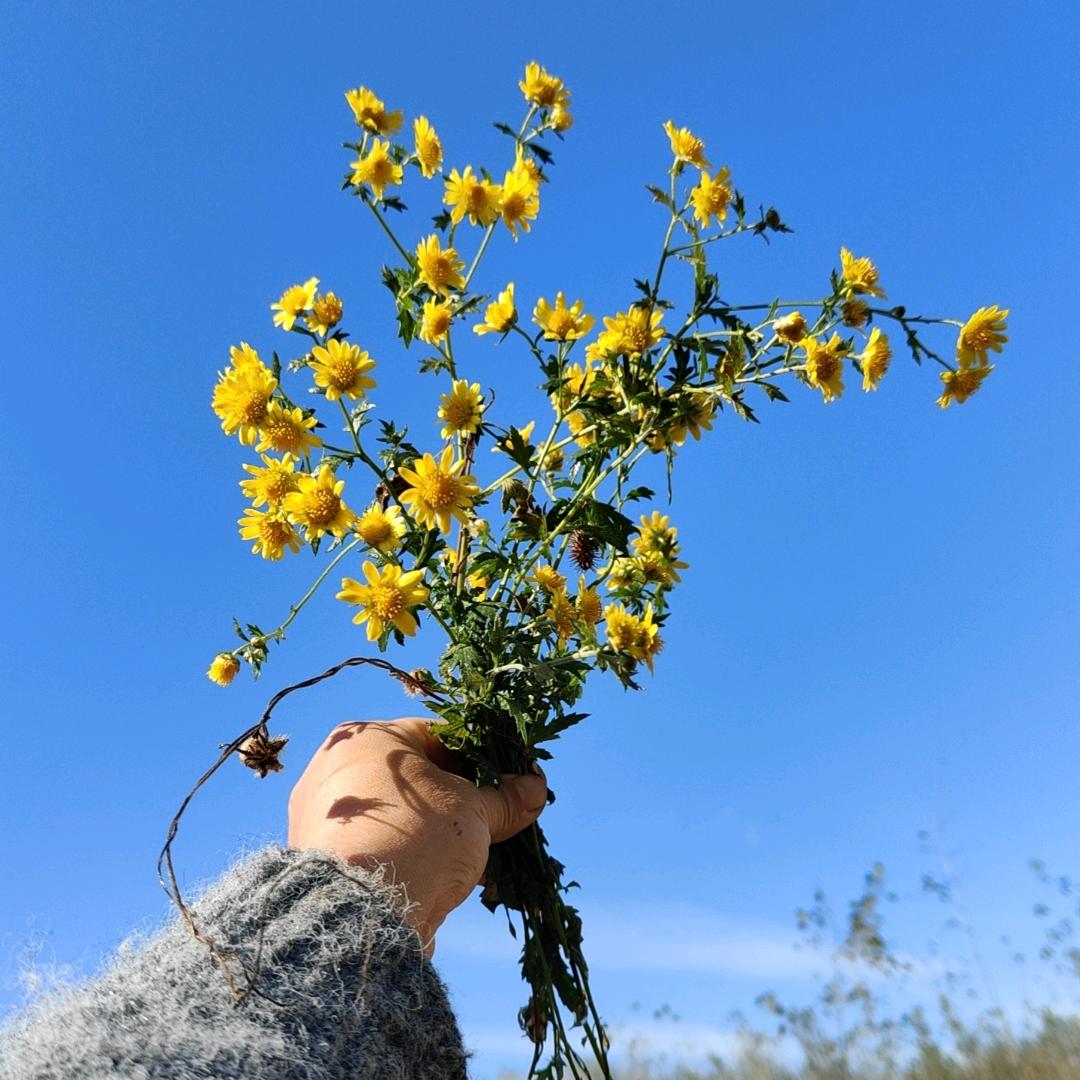 蒙蒙的幸福生活