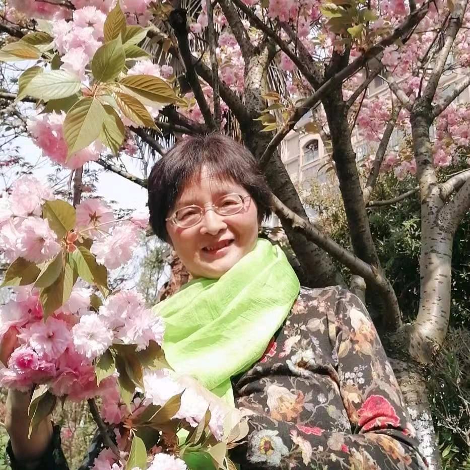 向太阳👍