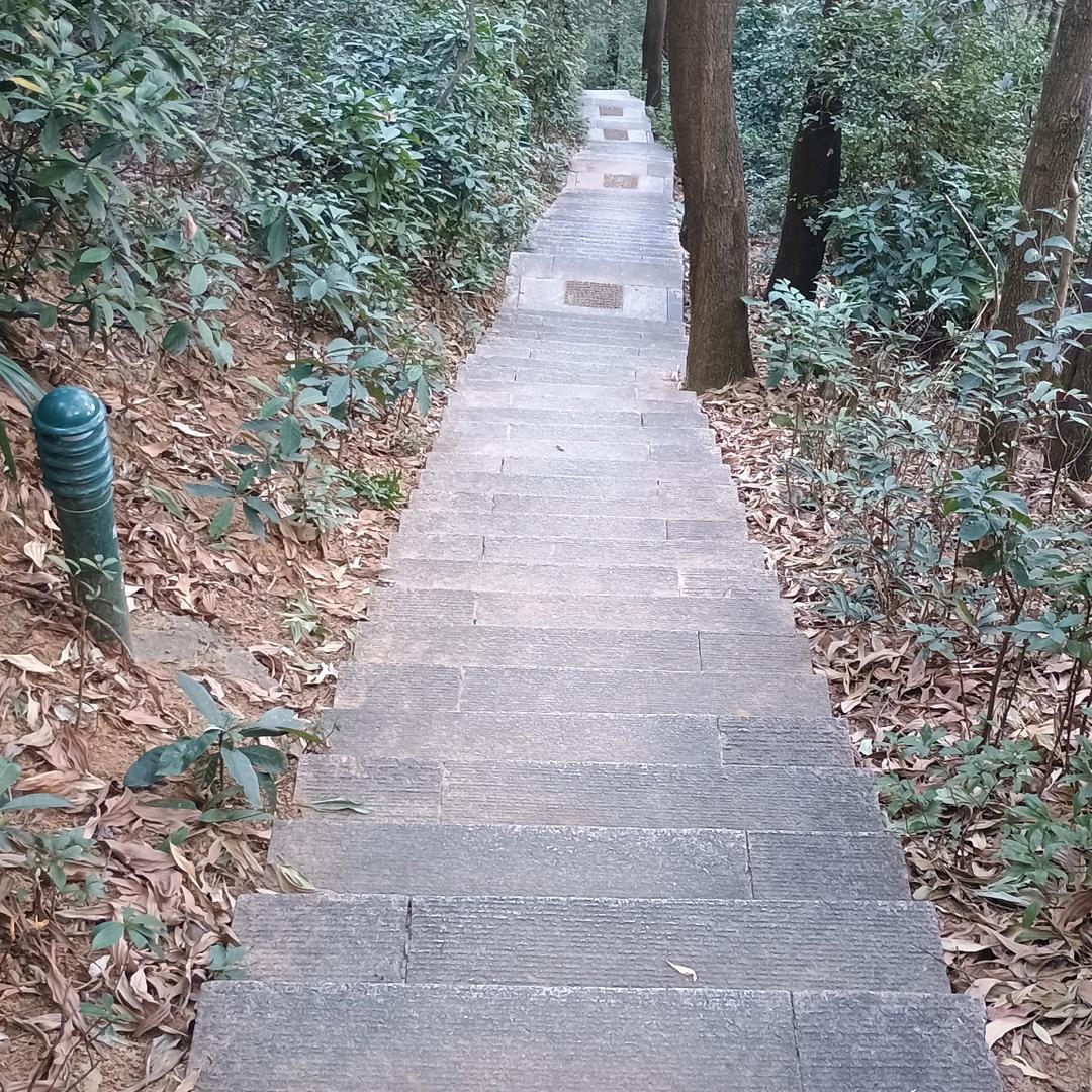 飞驰人生路，奔跑无止境！