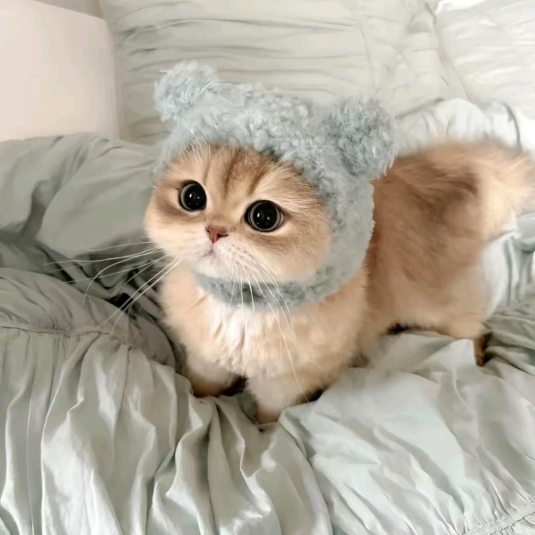 小吃街北头小两口炒菜炖鱼