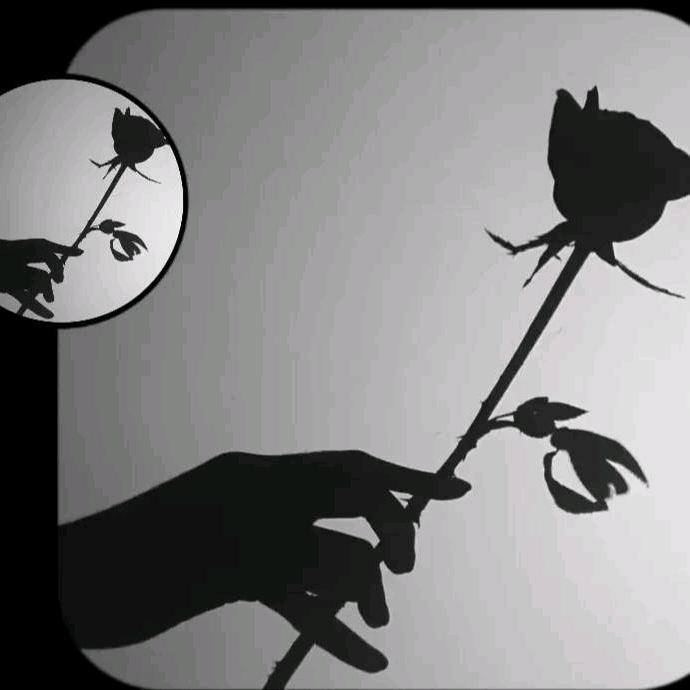 🇨🇳水到渠成🇨🇳