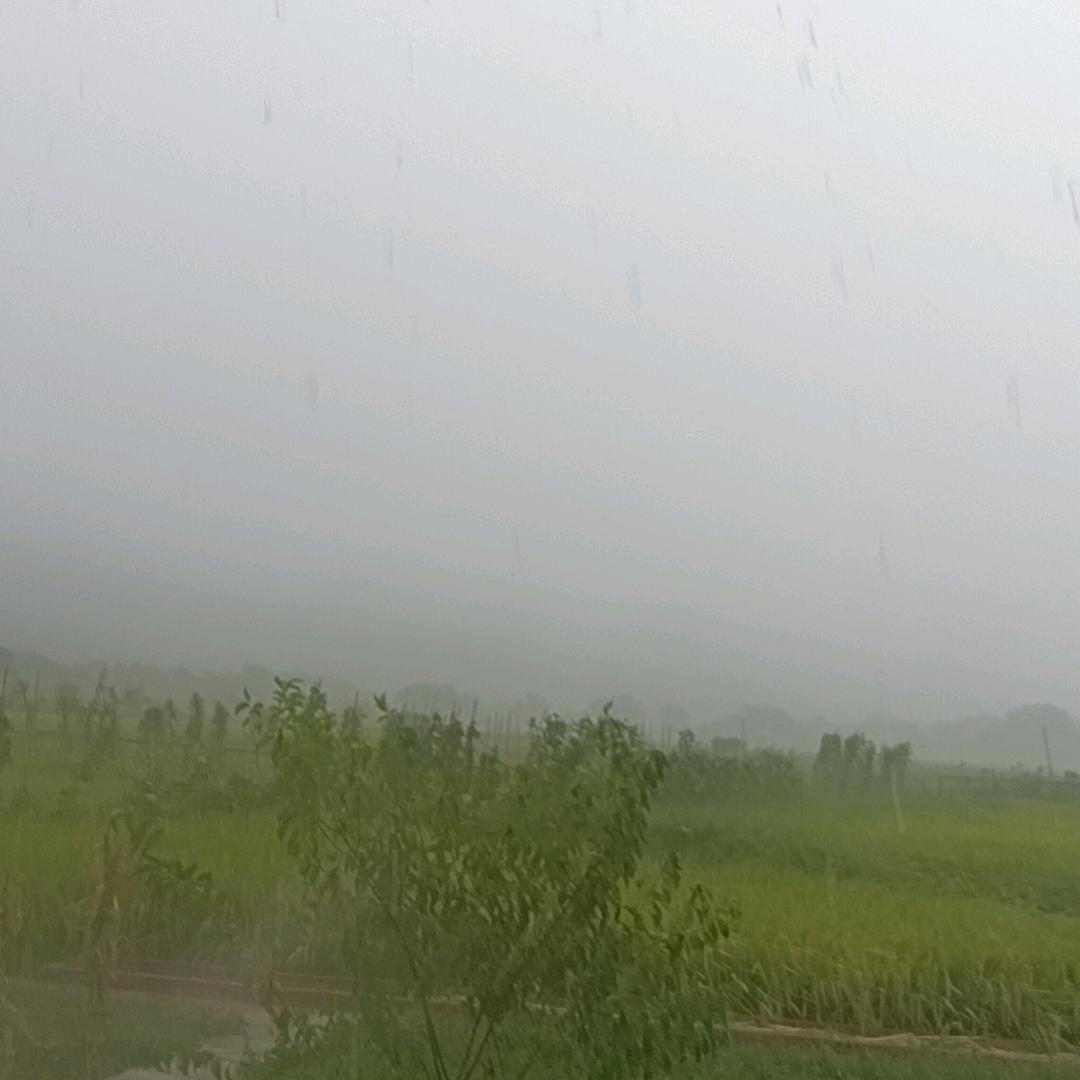 雨落晴空