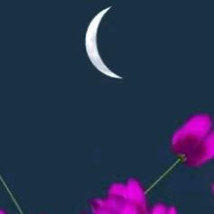 菩提心
