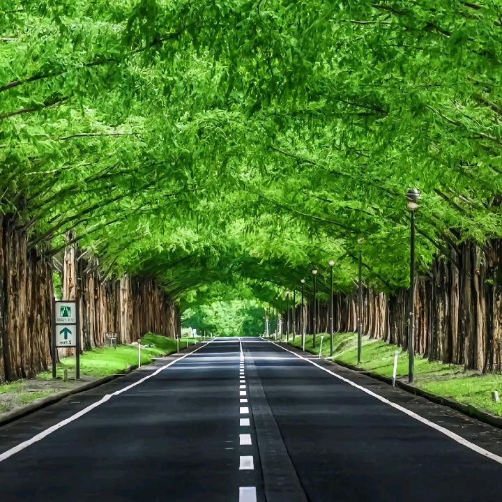 人在旅途
