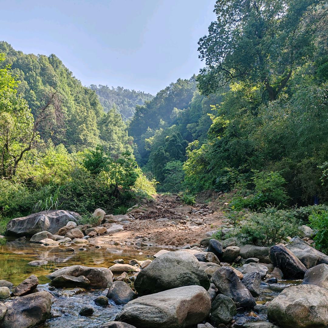 大别山云溪特产店