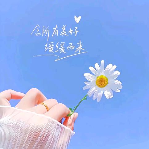 文老师助理