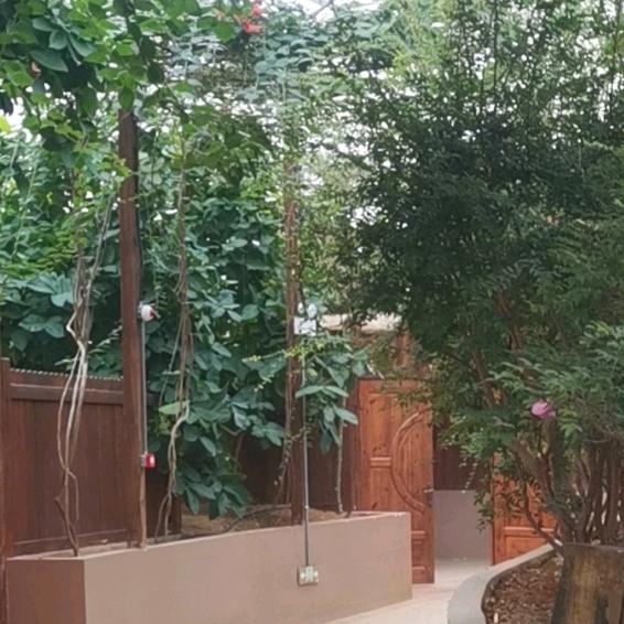 丰城市上塘桃源大酒店