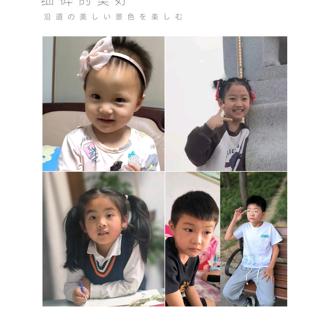 紫鸢尾