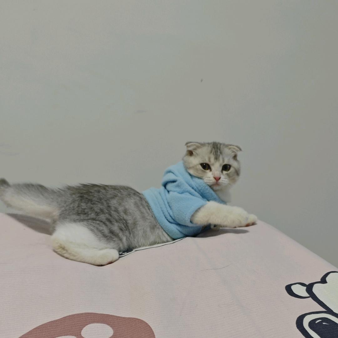 尚学专升本李老师