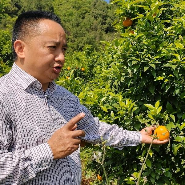 阆天农业高级农艺师-田老师