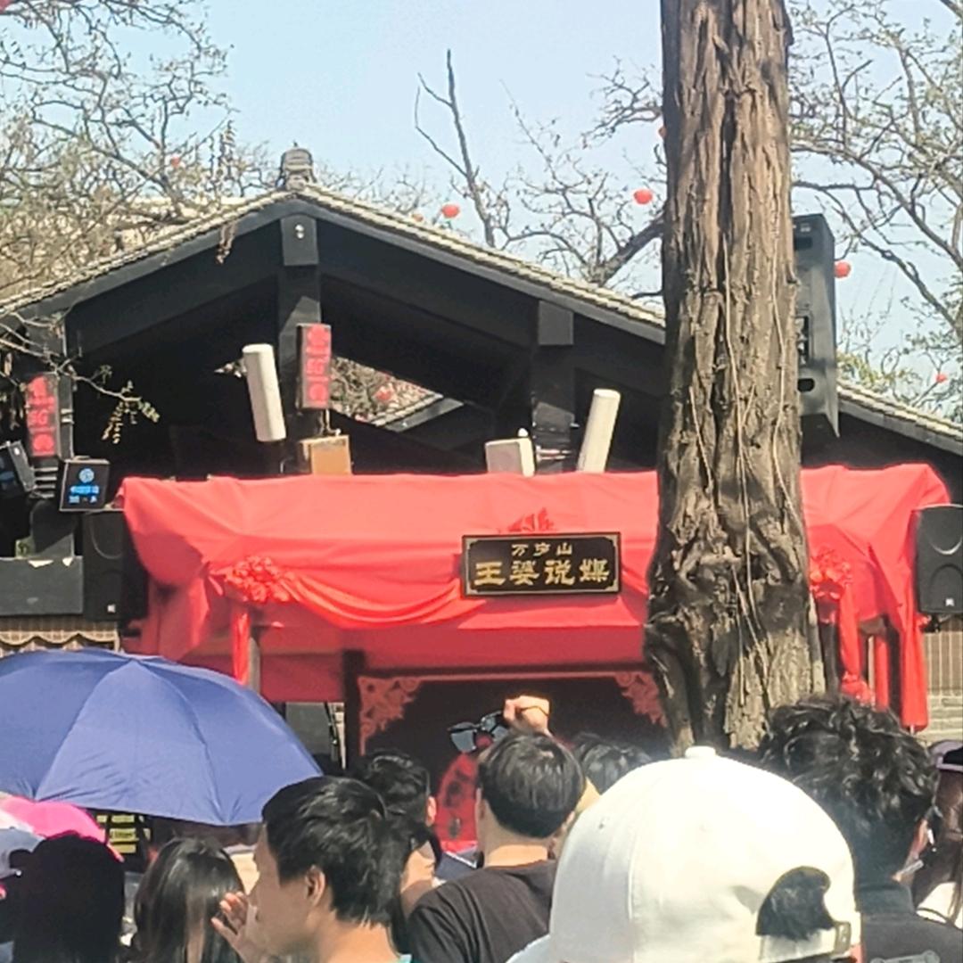 疯狂蚂蚁人万岁山