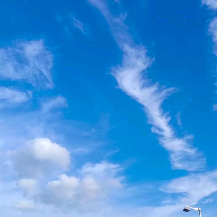 笨小孩