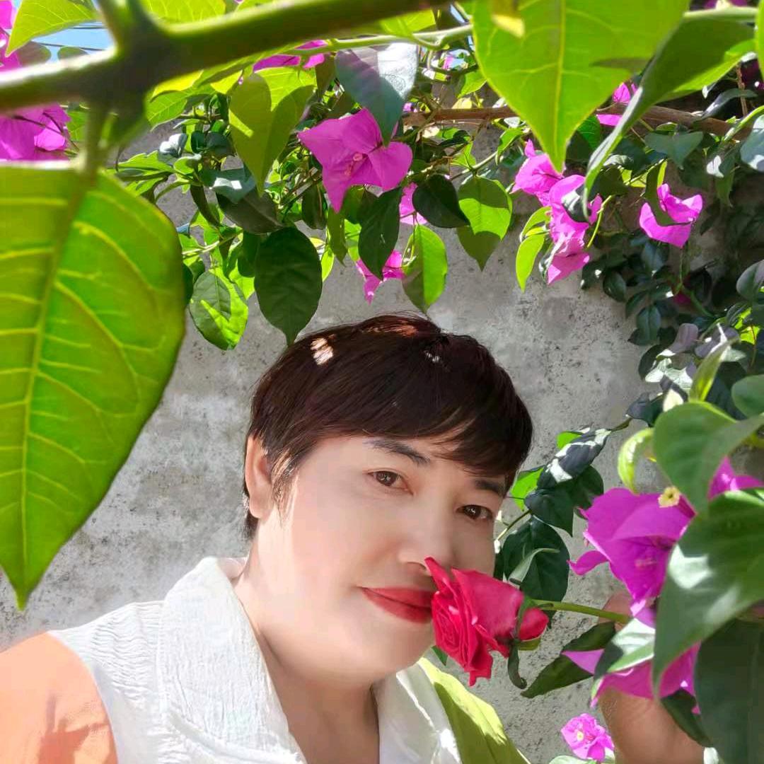 杨四姐