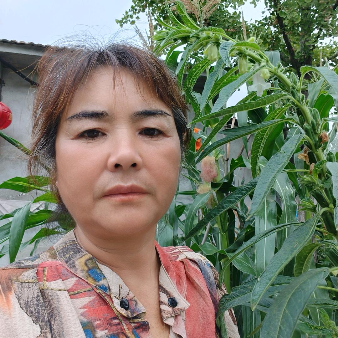 冬阳