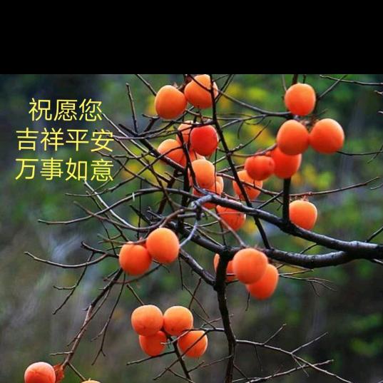 刘姐