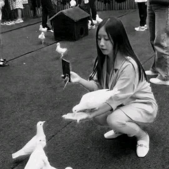 半颗心流血   半颗心宽