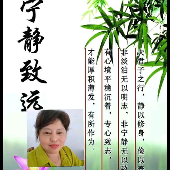 清茶一杯共渡520