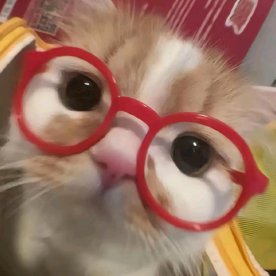 我是逻辑猫meme