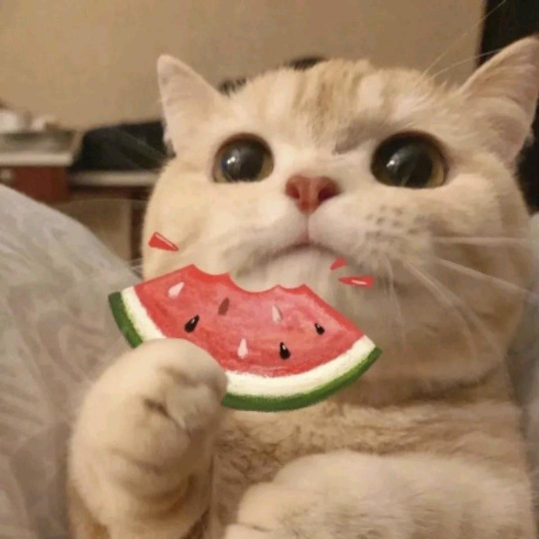 失眠小羊