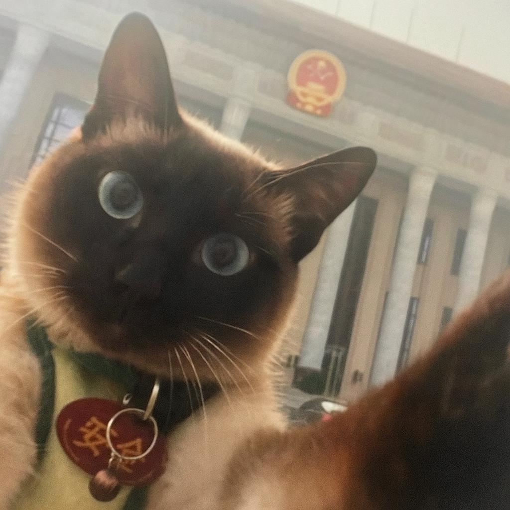 旺财喵🐱