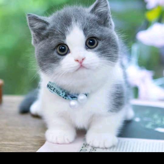 丰纳渔网工厂定制