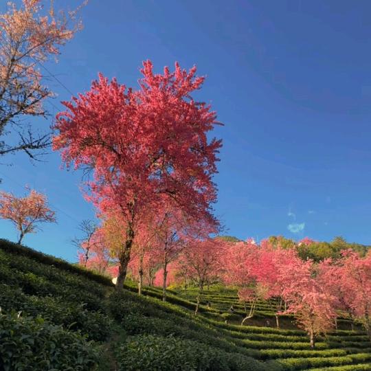 山河远阔 人间烟火🎇