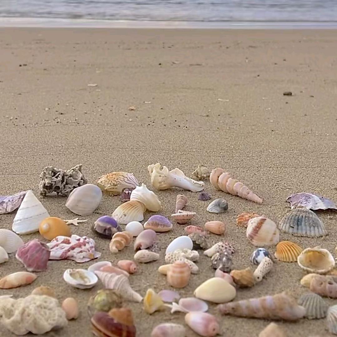 Ꭽℯ⃝落ঞᩚ幕꧔ꦿ᭄