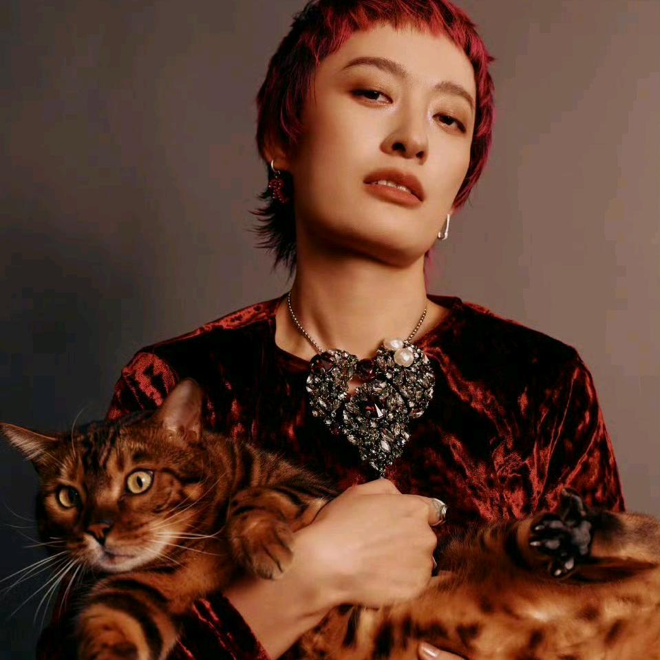 轶可迷弟德德宝🌈