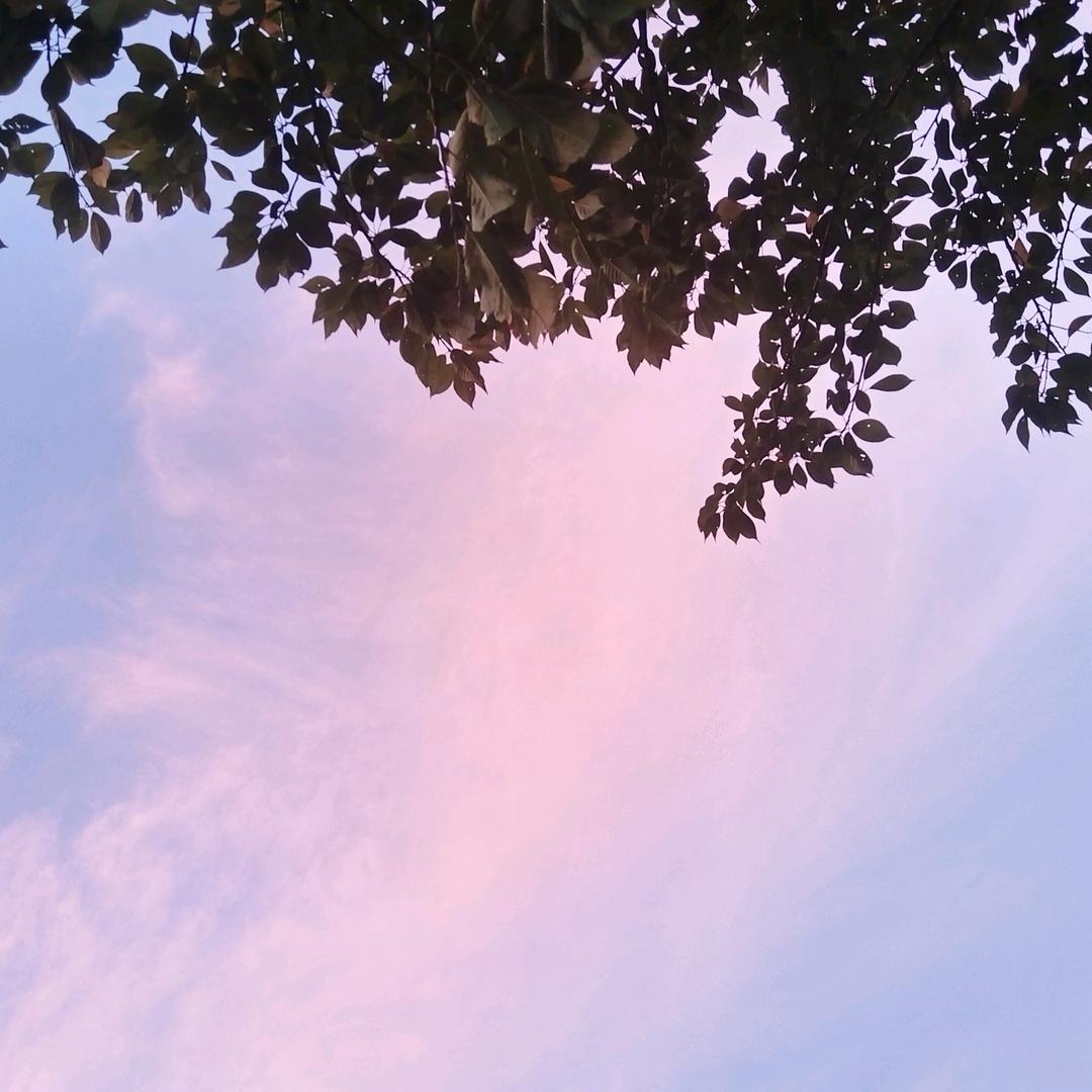 顺心如意