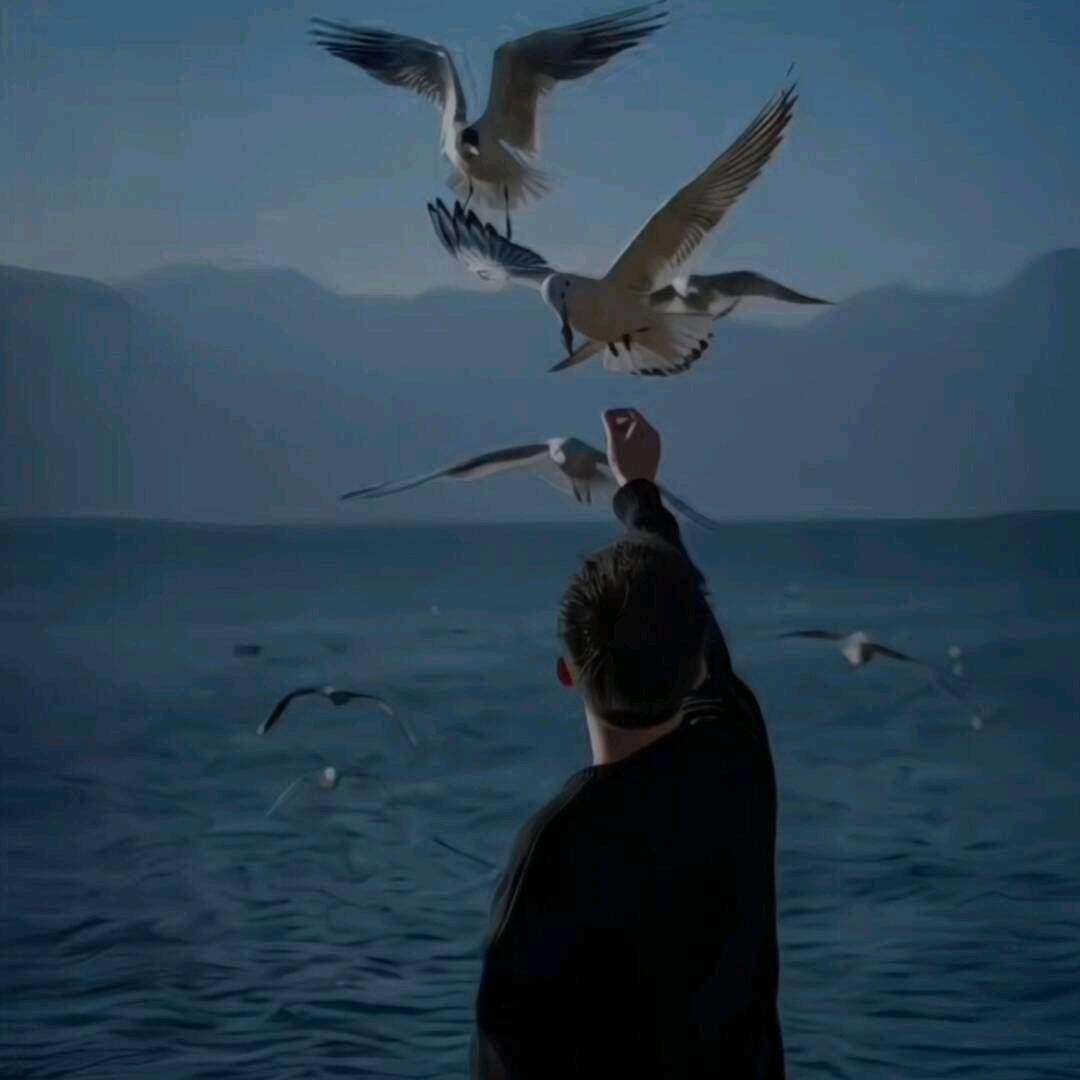 特殊行动局总司