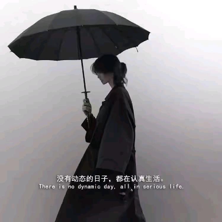 汤圆兔