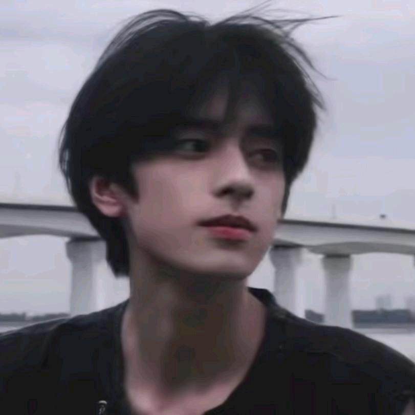 欣浩Ⅴ林集