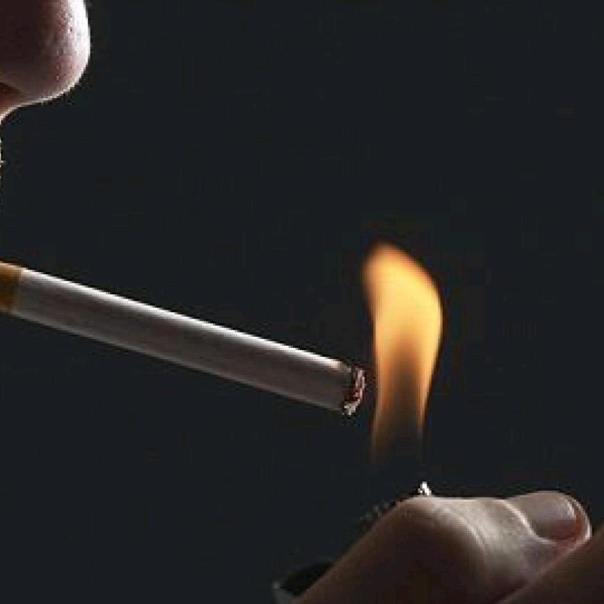 最后一个老实人