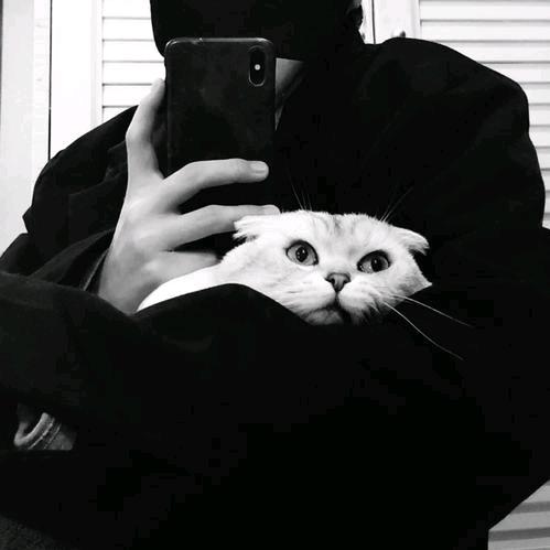 🌈𝑬𝒍𝒊𝒂𝒖𝒌✨