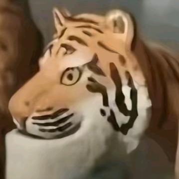 眼里只有塔