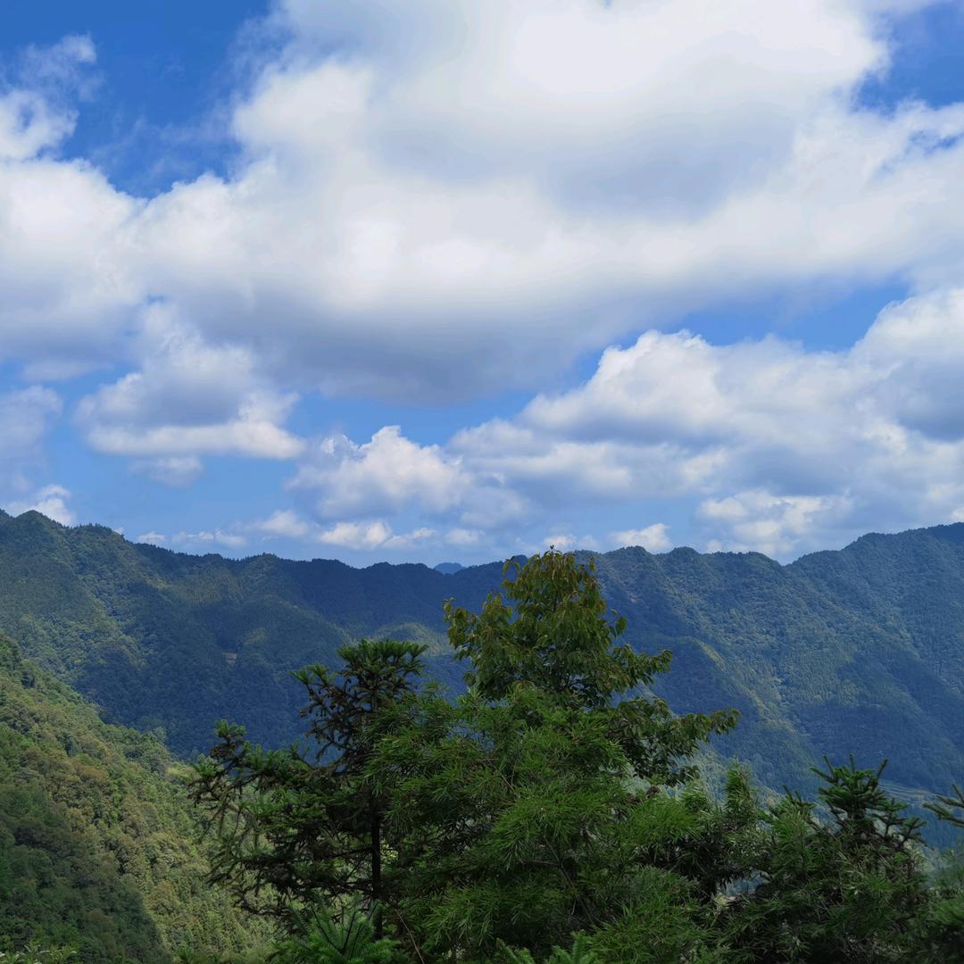 远山