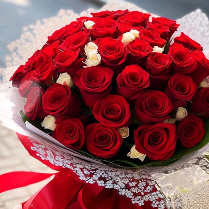 幸🌷福🌷的🌷阳🌷光🌷