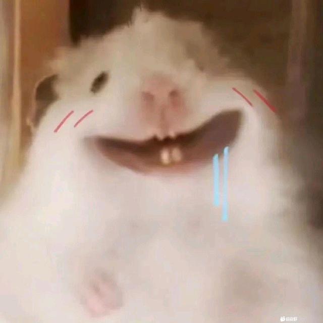 叫我冠希