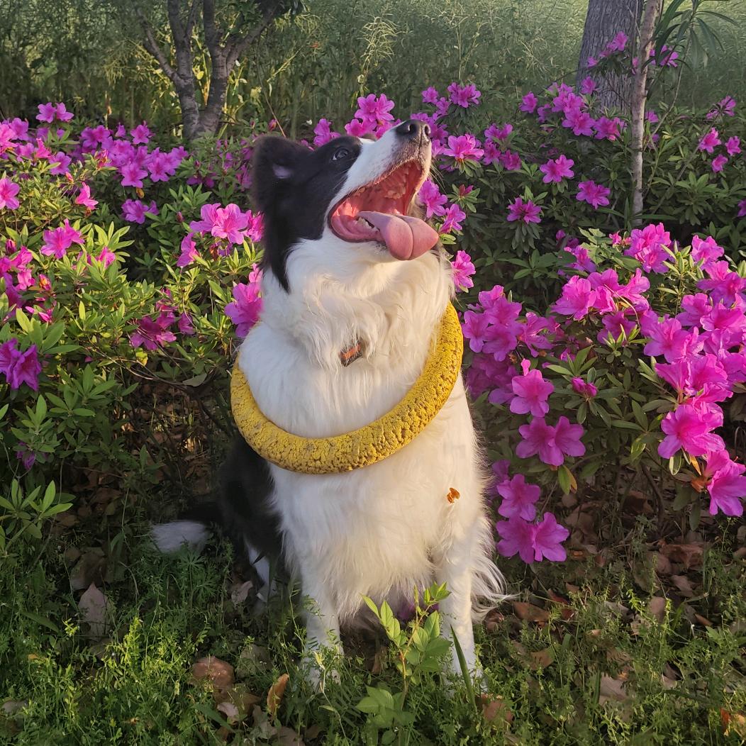 合肥高科经济技工学校朱老师