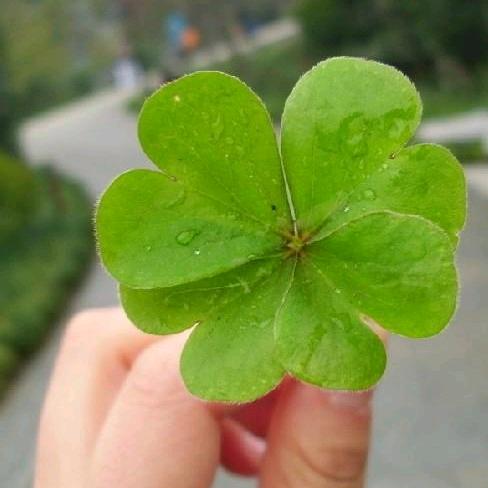 大荔县小家电维修清洗