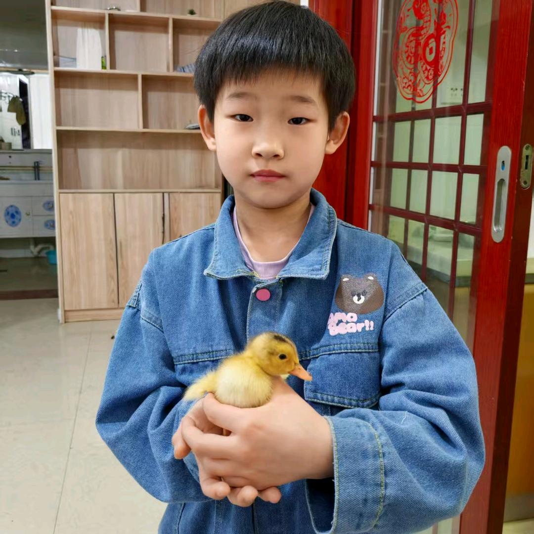 夏天爱学习