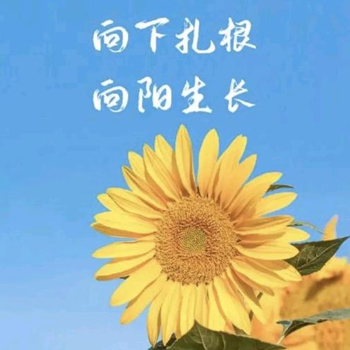 阿信（防水 美缝）