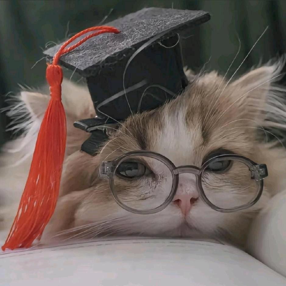 熊猫