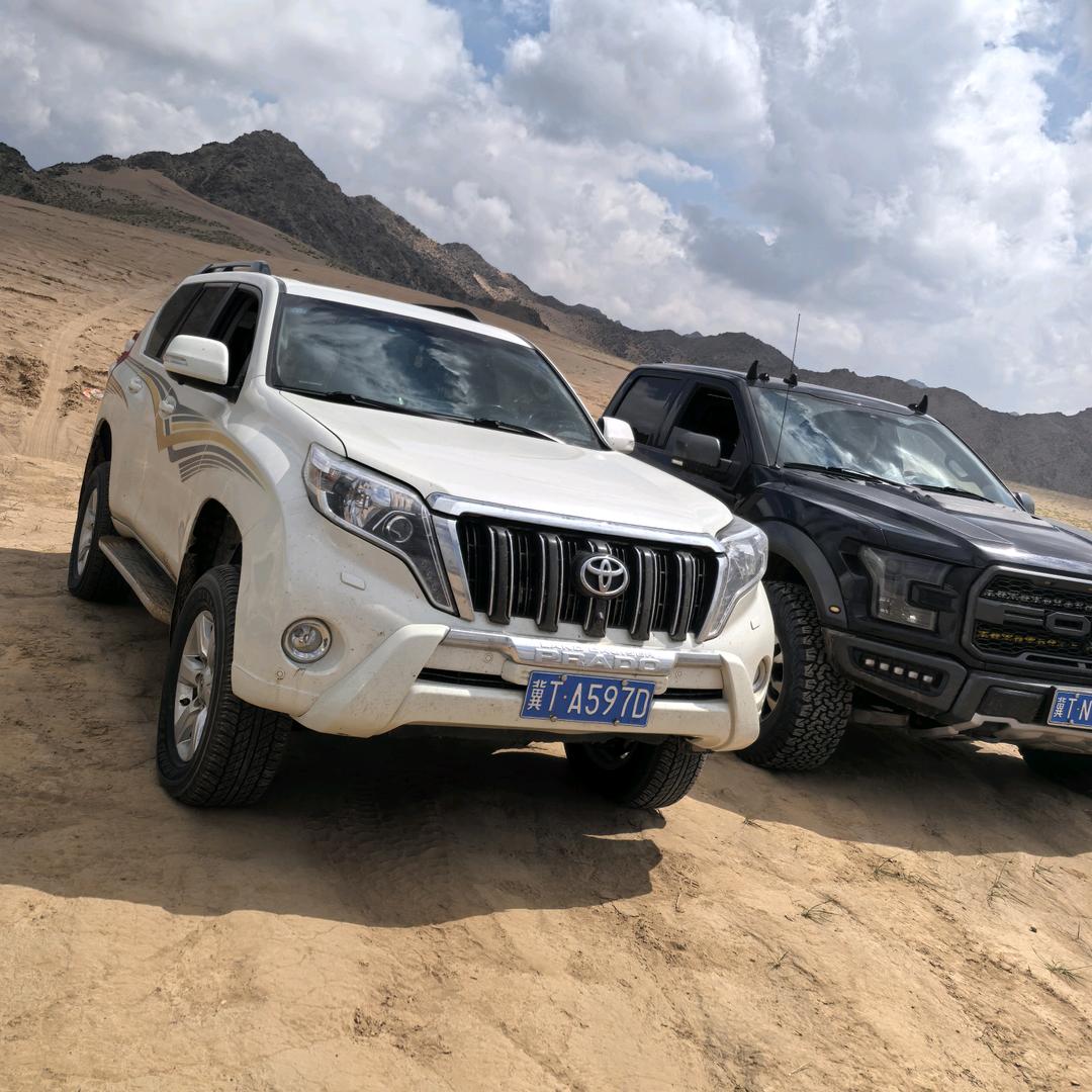 防虫网 防雹网 除草布