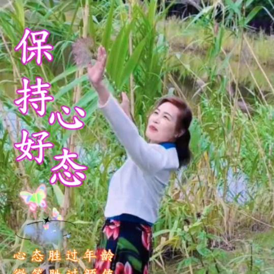 君子兰