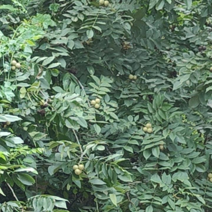 四川南北通物流有限公司