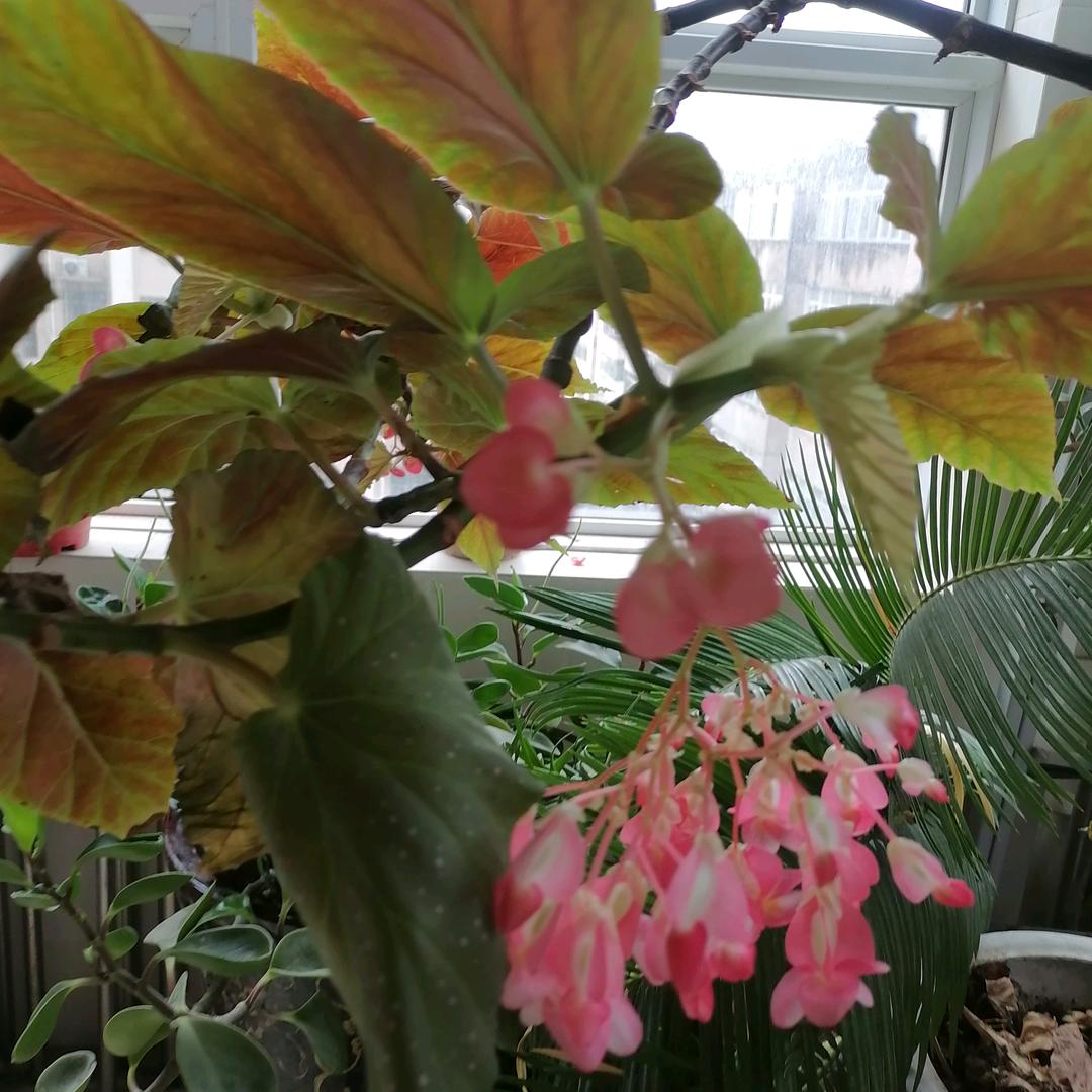 心静《拒绝私聊》