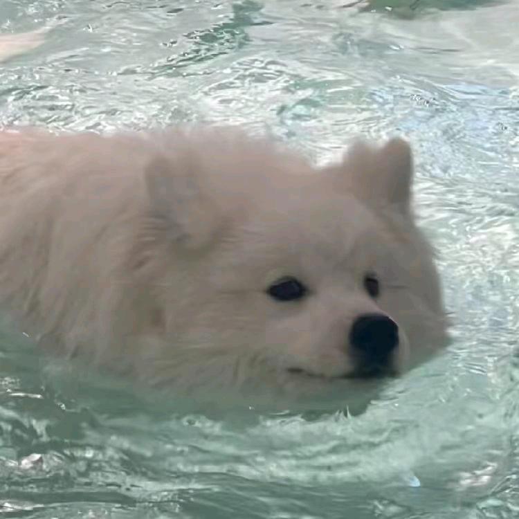 八月的风